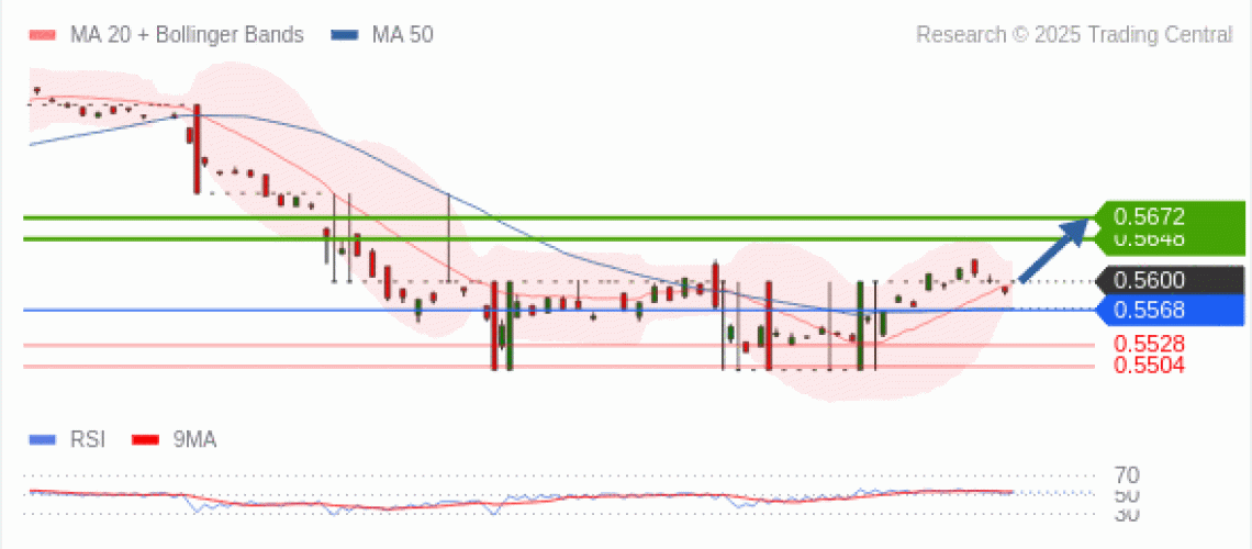 forex-technical-analisys-pivot-points-chart-NZDUSD-2025-04-08-8710d.gif