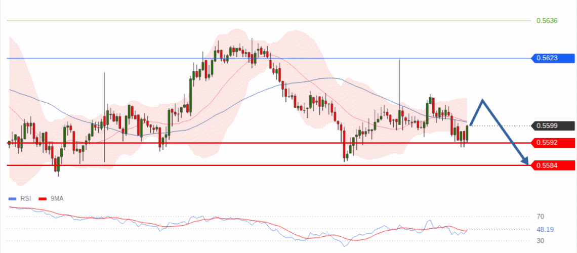 forex-technical-analisys-pivot-points-chart-NZDUSD-2026-10-08-0d5c2.gif