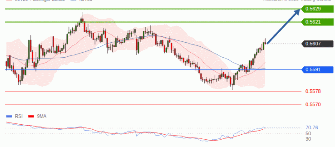 forex-technical-analisys-pivot-points-chart-NZDUSD-2026-10-13-3a686.gif
