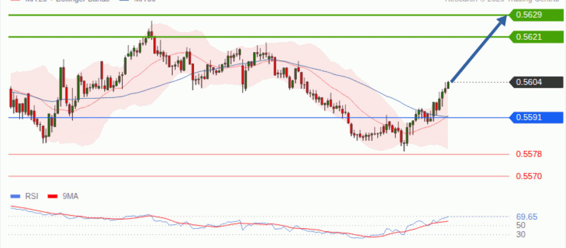 forex-technical-analisys-pivot-points-chart-NZDUSD-2026-10-13-81852.gif