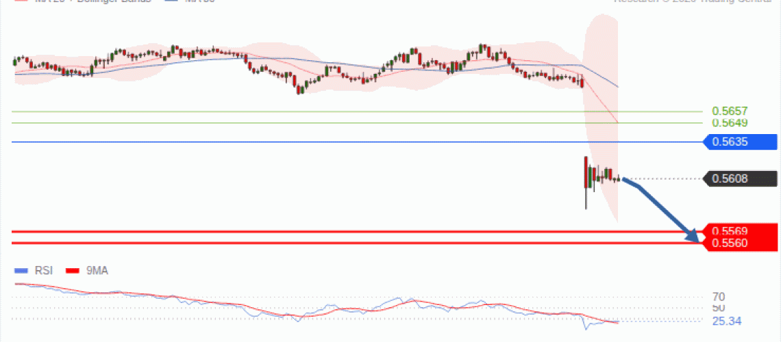 forex-technical-analisys-pivot-points-chart-NZDUSD-2026-10-28-20315.gif