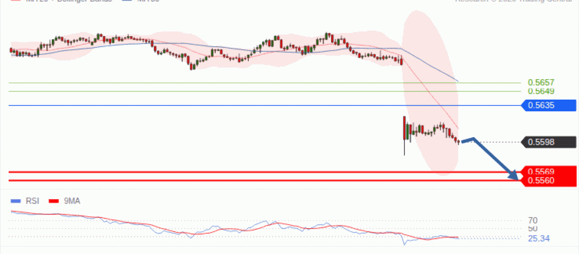 forex-technical-analisys-pivot-points-chart-NZDUSD-2026-10-28-3defc.gif