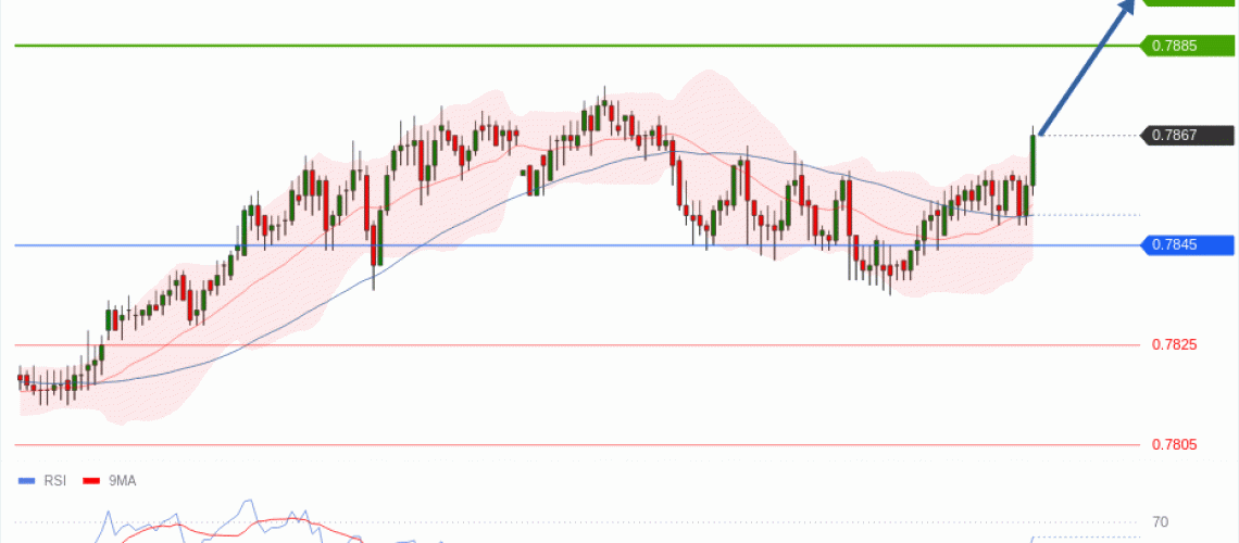 forex-technical-analisys-pivot-points-chart-USDCHF-2026-05-19-4b061.gif