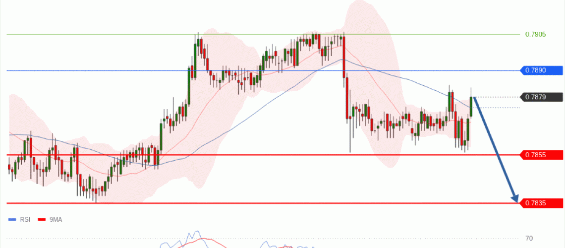 forex-technical-analisys-pivot-points-chart-USDCHF-2026-05-21-30d7e.gif